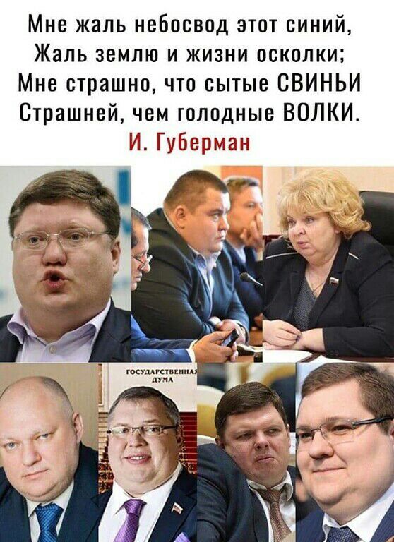 Мне жаль небосвод этот синий Жаль землю и жизни осколки Мне страшно что сытые СВИНЬИ Страшней чем голодные ВОЛКИ И Губерман
