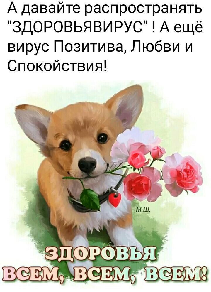 А давайте распространять ЗДОРОВЬЯВИРУС А ещё вирус Позитива Любви и Спокойствия