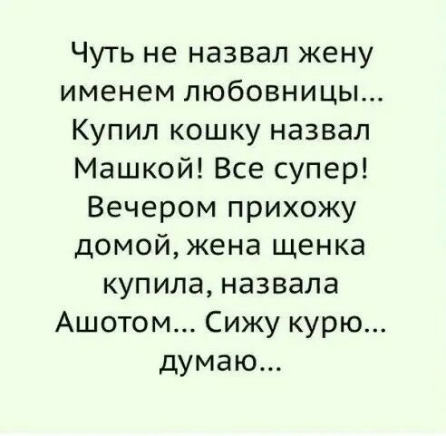 Чуть не назвал жену именем любовницы Купил кошку назвал Машкой Все супер Вечером прихожу домойжена щенка купила назвала Ашотом Сижу курю думаю
