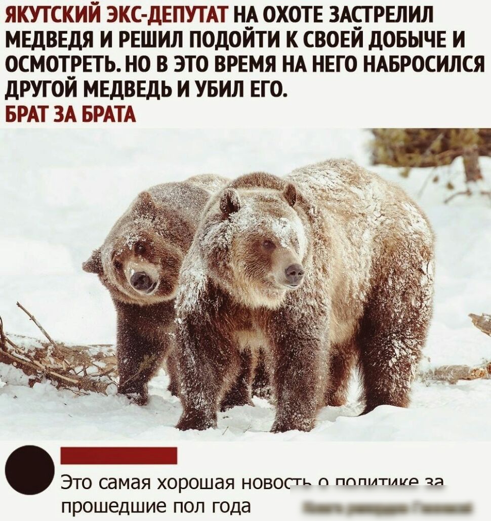 ЯКУТСКИЙ ЭКС ДЕПУТАТ Н_А ОХОТЕ ЗАЁПЕЛИЛ МЕДВЕДЯ И РЕШИЛ ПОДОИТИ К СВОЕИ ДОБЫЧЕ И ОСМОТРЕТЬ НО В ЭТО ВРЕМЯ НА НЕГО НАБРОСИЛСЯ ДРУГОИ МЕДВЕДЬ И УБИЛ ЕГО БРАТ ЗА БРАТА ЭТО самая ХОРОШдЯ НОВОСТЬ ПИ я прошедшие ПОЛ ГОДа _ _ _