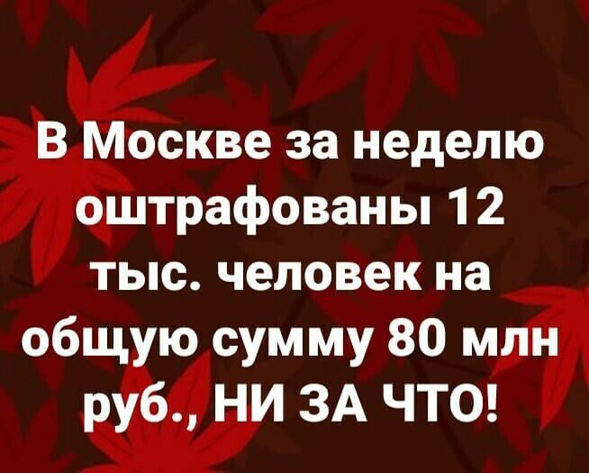 В Москве за неделю оштрафованы 12 тыс человек на общую сумму 80 млн руб НИ ЗА ЧТО