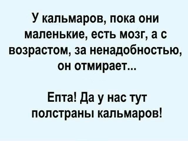 У кальмаров пока они маленькие есть мозг а с возрастом за ненадобностью он отмирает Епта да у нас тут полстраны кальмаров