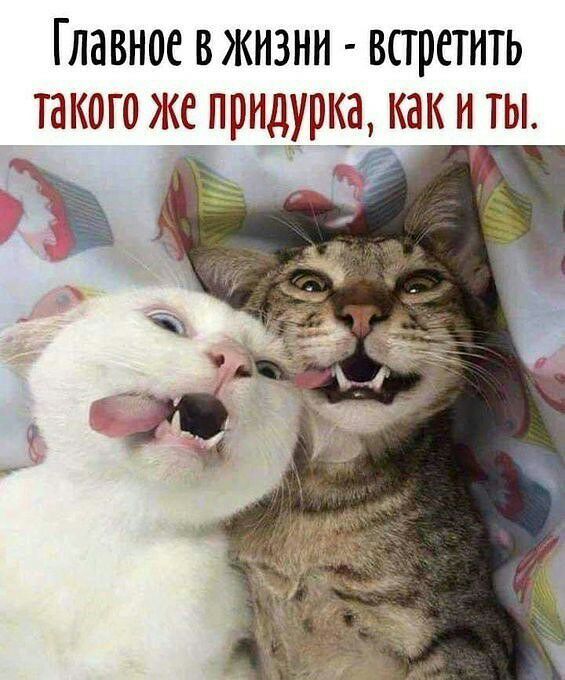 Главное вжизни встретить такого же придурка ка_к и ты