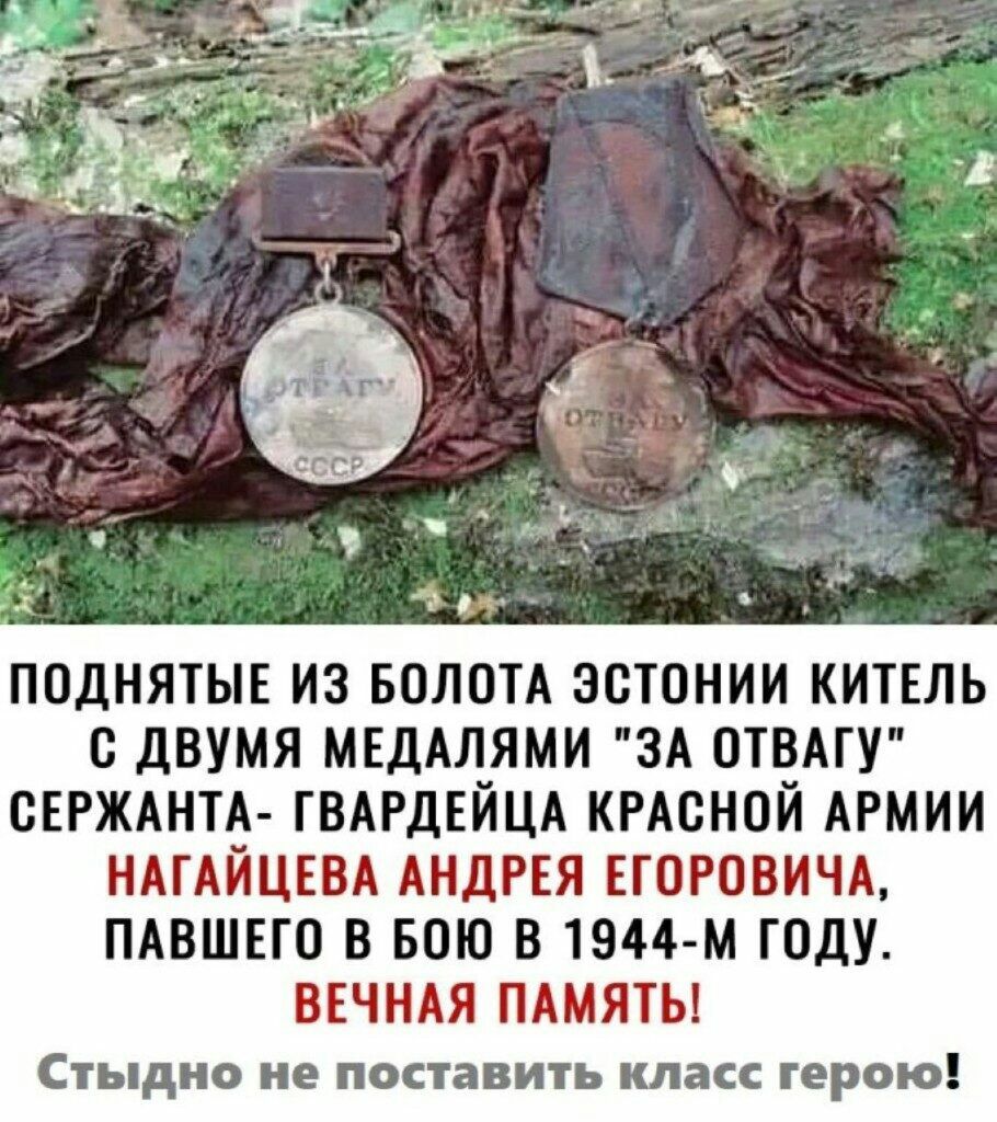 поднятыв из валом эстонии китвль с двумя мъдАлями ЗА отв СЕРЖАНТА ГВАРДЕЙЦА КРАСНОЙ АРМИИ НАГАЙЦЕВА АНДРЕЯ вгоровичд ПАВШЕГО в ваш в 1944 м году ВЕЧНАЯ ПАМЯТЬ СТЬдНО не поставить класс герою