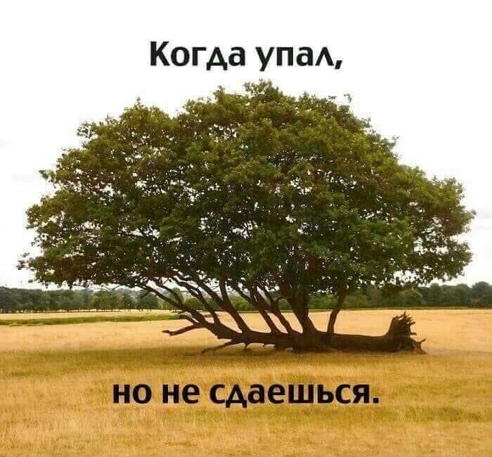 ЁЧЁ ХДС _ _ 7
