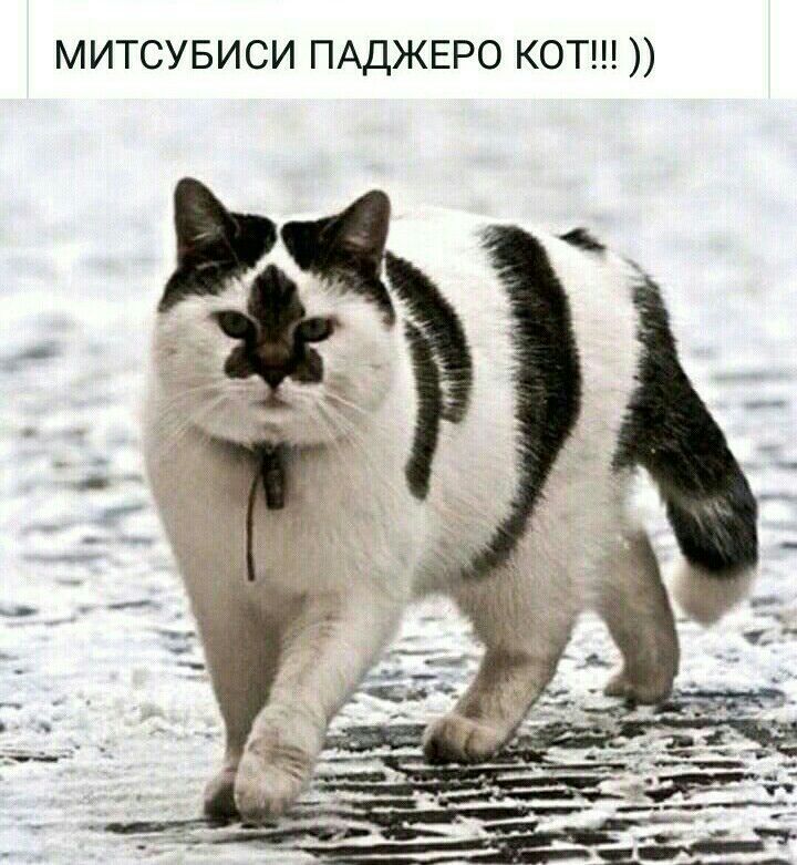 МИТСУБИСИ ПАДЖЕРО КОТ