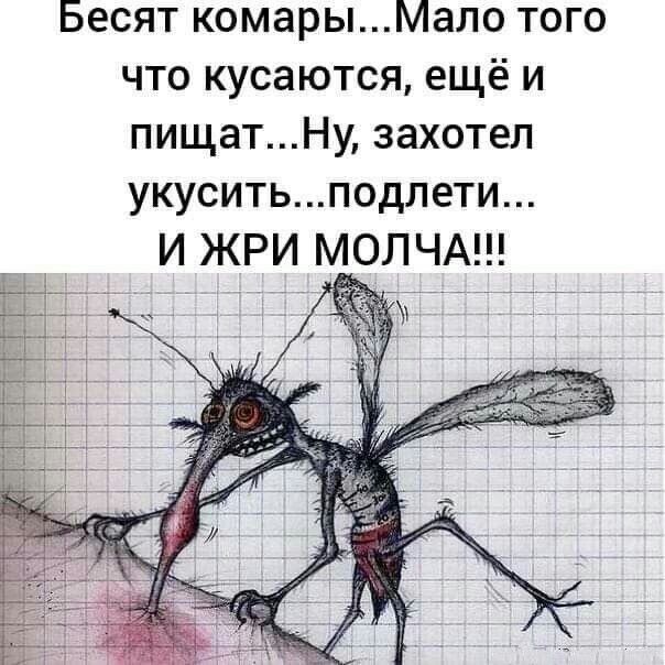 Бесят комарыМало того что кусаются ещё и пищатНу захотел укусить подлети И ЖРИ МОЛЧА