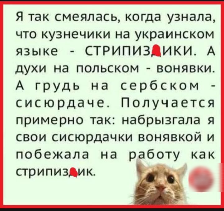 Я так смеялась когда узнала что кузнечики на украинском языке СТРИПИЗДИКИ А духи на польском вонявки А грудь на сербском сисюрдаче Получается примерно так набрызгала я свои сисюрдачки вонявкой и побежала на работу как стрипиздик