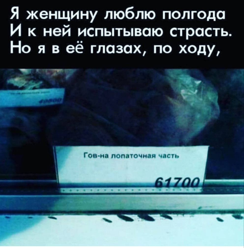 Я женщину люблю полгода И к ней испытываю страсть Но я в ее глазах по ходу 1 ед Гос и помточип псп акч ш