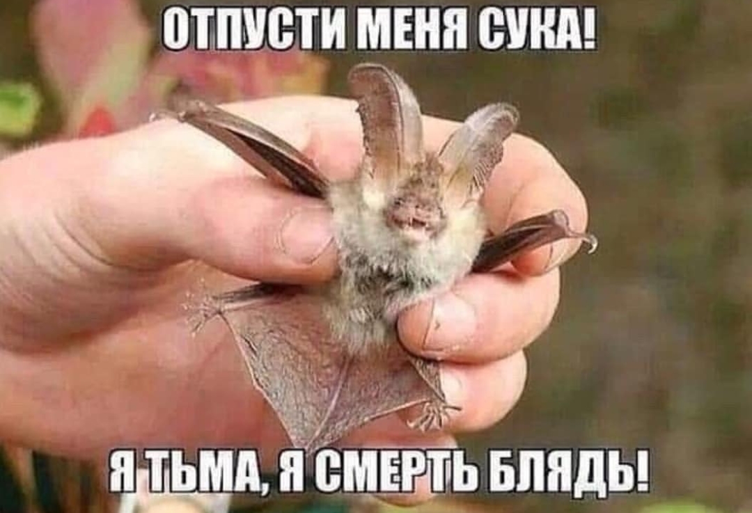 Выпиши шип сини щи емЁтТь вппды