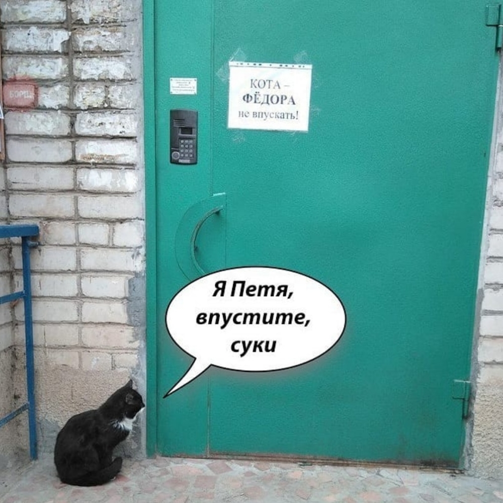КП ФЬИП впустите суки