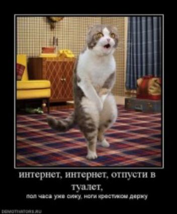 итсрнсі интернет отпусти в пали пм