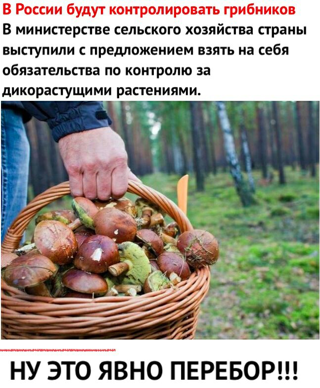 В России будут контролировать грибников В министерстве сельского хозяйства страны выступили с предложением взять на себя обязательства по контролю за дикорастущи МИ растениями Ё НУ ЭТО ЯВНО ПЕРЕБОР