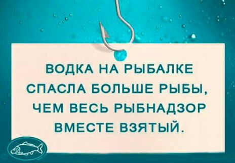 ВОДКА НА РЫБАЛКЕ СПАСПА вопьшв РЫБЫ чем ВЕСЬ РЫБНАДЗОР ВМЕСТЕ взятый