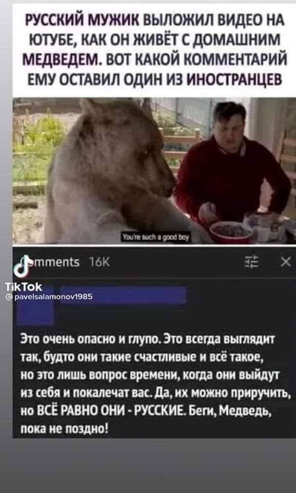 русский мужик выложил видео НА ютувв кдк он живёт с домдшним медведем вот КАКОЙ комментдрий ему осгАвил один из иностмнцев 7 рцуеаитпопші1955 Это очень опасно и тупо Это всегда иытядит так будто они такие частные и всё такое но по лишь вопрос времени когда они выйдут из себя и покалечат вас дв их можно приручить ио ВСЁ РАВНО ОНИ РУССКИЕ Беги Медведь пока не поздно