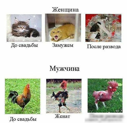 4 До свадьбы Женщина