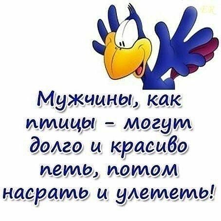 Мужчины как птицы й Могут долго и красиво пет шармом изврат уАетемЫ ОИ