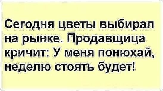 Сегодня цветы выбирал на рынка Продавщица кричит У меня понюхай неделю стоять будет