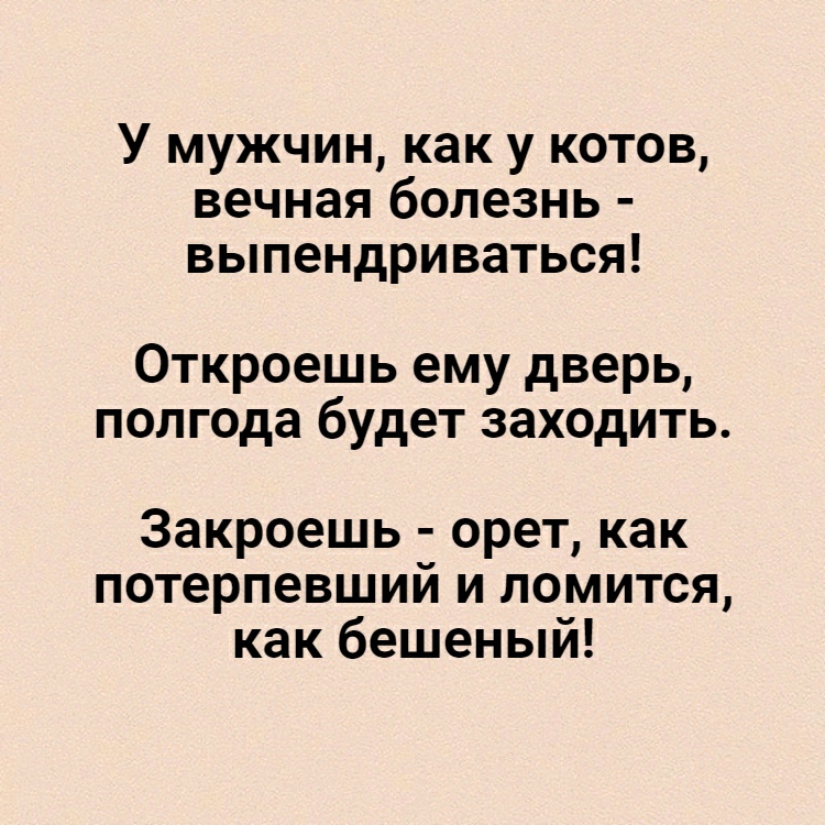 У мужчин как у котов вечная болезнь выпендриваться Откроешь ему дверь полгода будет заходить Закроешь орет как потерпевший и ломится как бешеный