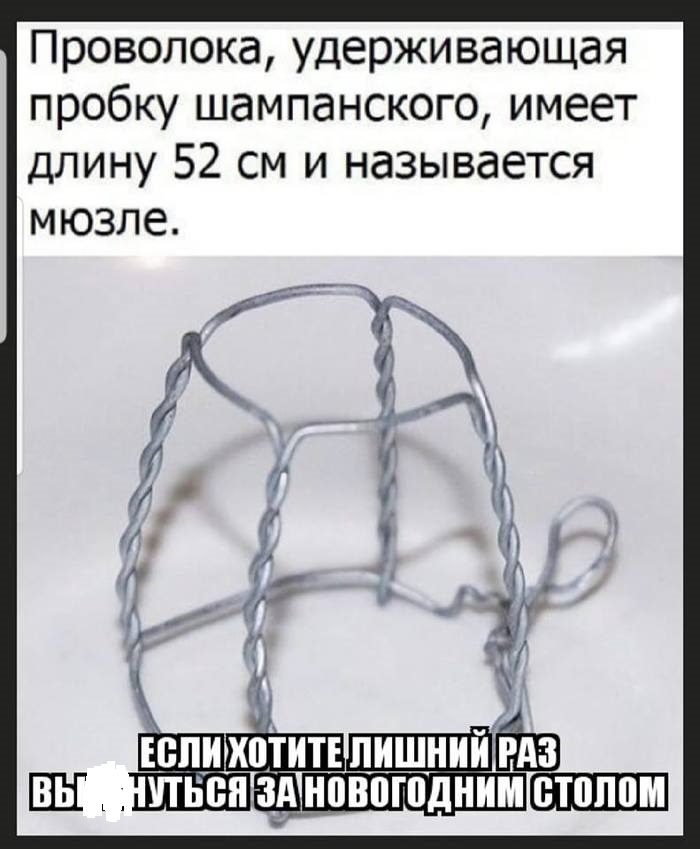 Проволока удерживающая пробку шампанского имеет длину 52 см и называется д хпітитъпишний Ш _ итнпн з новогоднимщщш