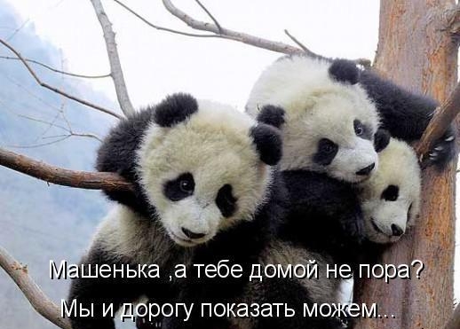 шеНька а тебе дотёй не п гу показать ищё