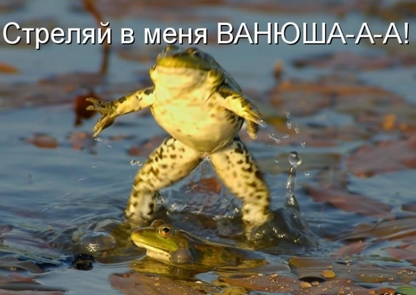Стреляй в меня ВАНЮШААА