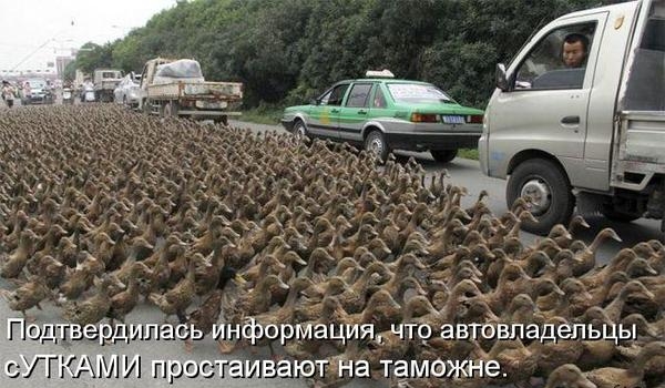 Г тм1 Прог г ютТіа тёмажнё