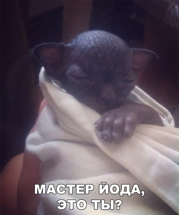 МАГЁЁЁЬЁ ЕЁЮДА ТЫ