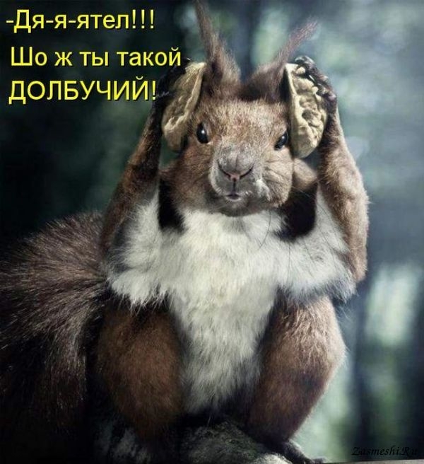 Дя я ятел Шожтытакой долыщийн