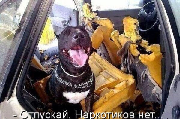а Н В 0 к о а Н ЖПУСКЗИ