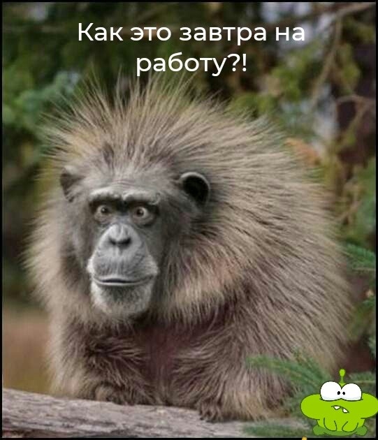 б Как это завтра оаботу