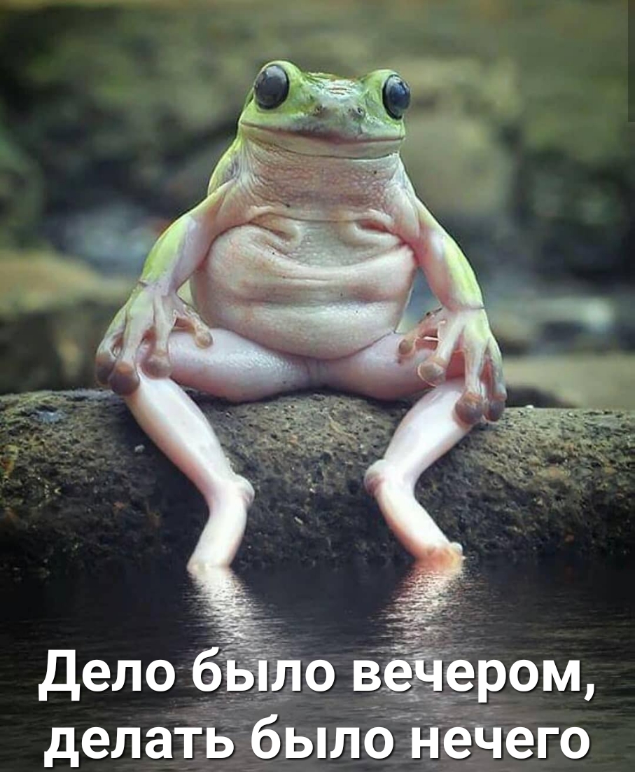 Дело 6310 вёЁером делать было НёЧего