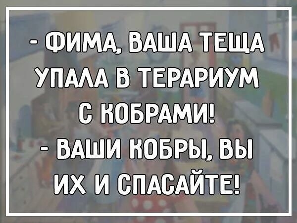 ФИМА ВАША ТЕЩА УПААА В ТЕРАРИУМ с НОБРАМИ ВАШИ ковры вы их и ОПАСАЙТЕ