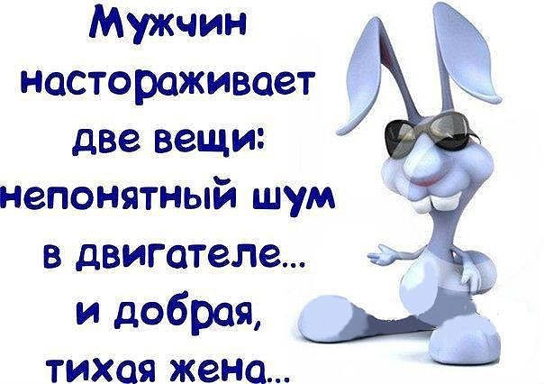 Мужчин настораживает две вещи непонятный шум в двигателе идобрая _ М ТИХОЯ жена