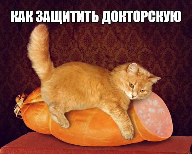ШШ ЗАЩИТИТЬ повторению