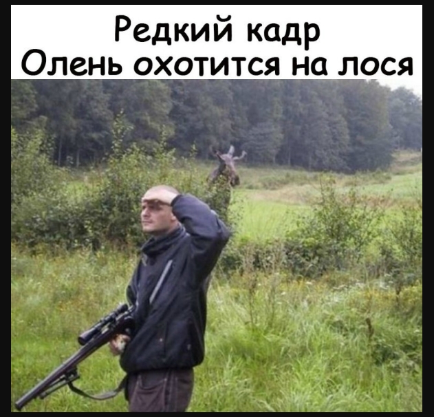 Редкий кадр Олень охотится на лося