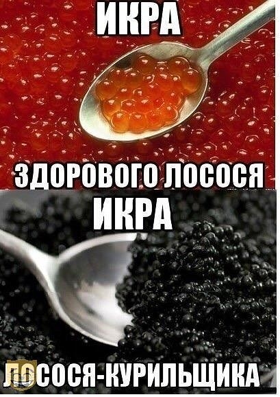 здорвізошіітбёпіёяг инвд пэсоен нигипвщиндт