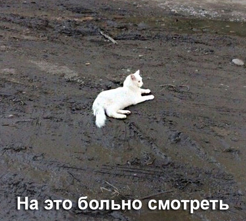 На это больно смотреть
