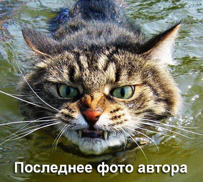 Последнее фцгіо автора