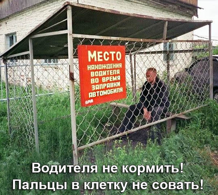 НЦНПЖПЕН ВППИТЕПЯ во РИМ мы ит дх Водителя не кормить __ Пальцы в_клетку не__ совать