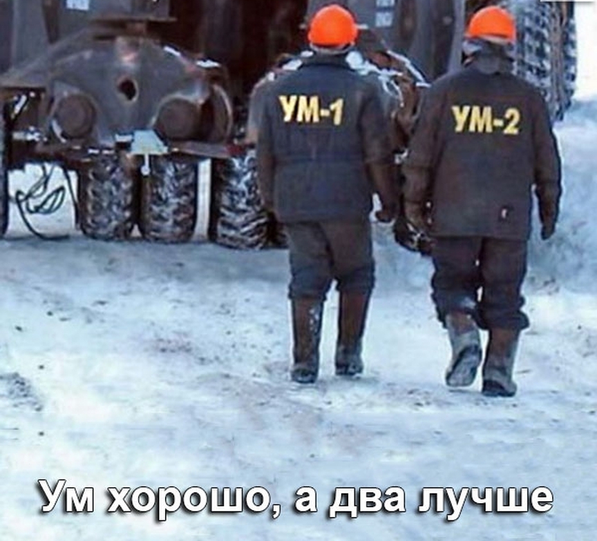 1 хорошо гадя