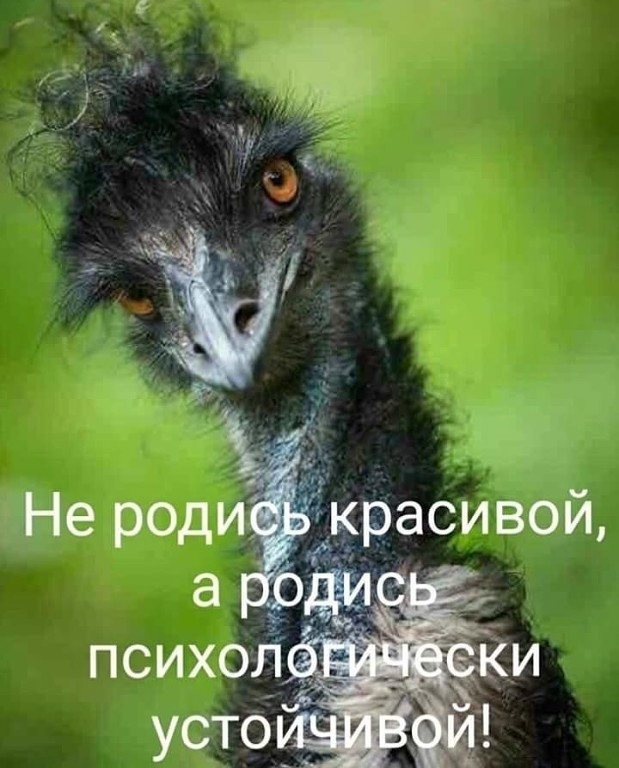 ЕЁ