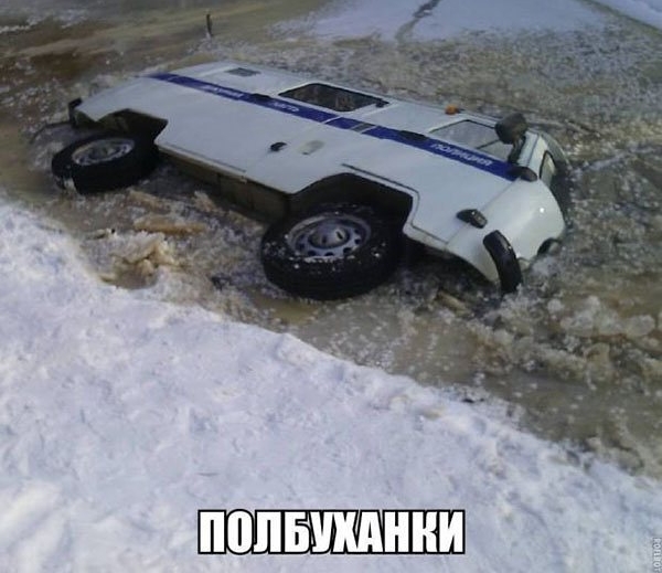ППЛБШННИ