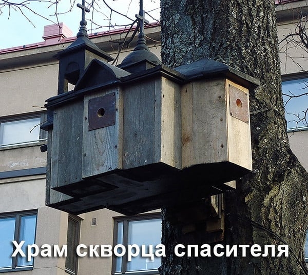 Я П 9 Т И С 8 П С