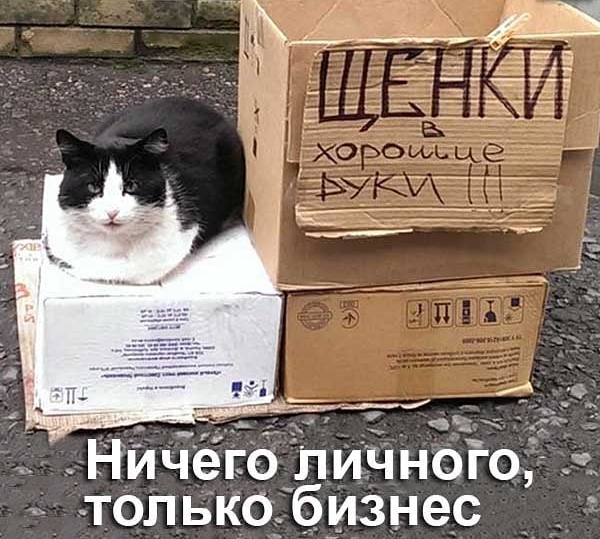 личного т_олько бизнес