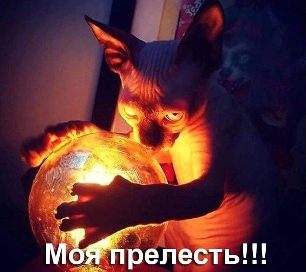 ЧЁ __ релеётьш