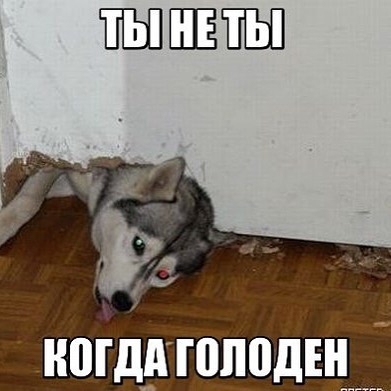 ногддцюподъ