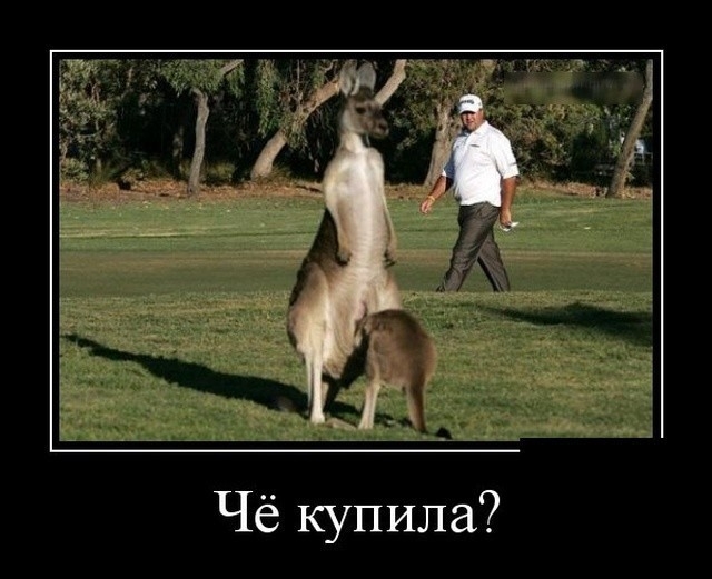 Чё купила
