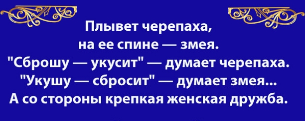 Плыветчерепаха на ее спине змея сброшу укусит думает черепаха Укушу сбросит думает змея А со стороны крепкая женская дРУЖБа