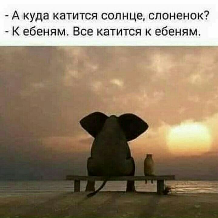 А куда катится солнце слоненок К ебеням Все катится ебеням